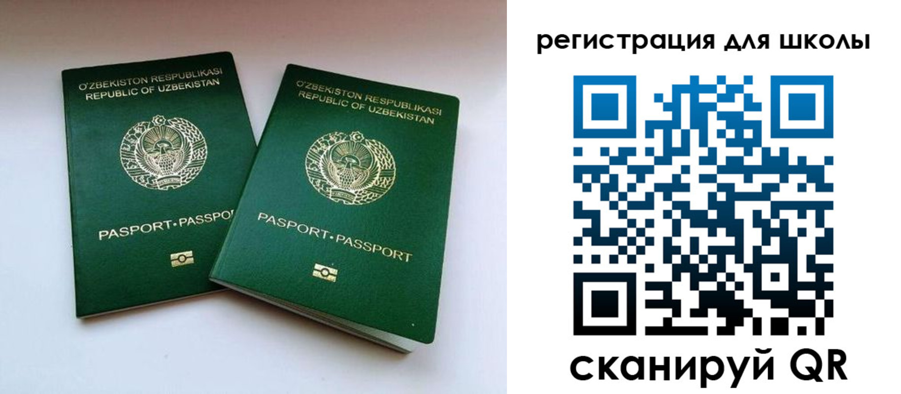 прописка для школы в Реутове